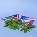 The History of UK Cannabis Legislation: From Prohibition to Legalization