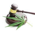 Understanding UK Cannabis Legislation