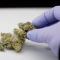 Understanding Cannabis Regulation in the UK
