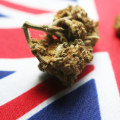 Exploring the Licensing and Permitting Process for Cannabis in the UK