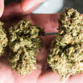 Regulations for the Sale of Cannabis in the UK: What You Need to Know