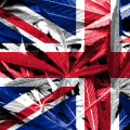 The Evolution of Cannabis Legislation in the UK: A Comprehensive History