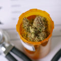 Access to Medical Cannabis in the UK: What You Need to Know