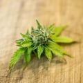 Understanding the UK Cannabis Market: Online and Offline Segments