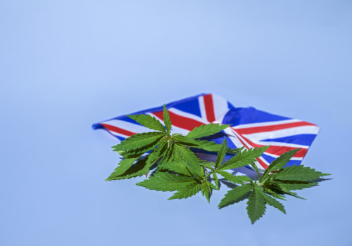 The History of UK Cannabis Legislation: From Prohibition to Legalization