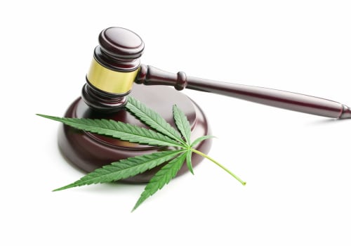 Understanding UK Cannabis Legislation