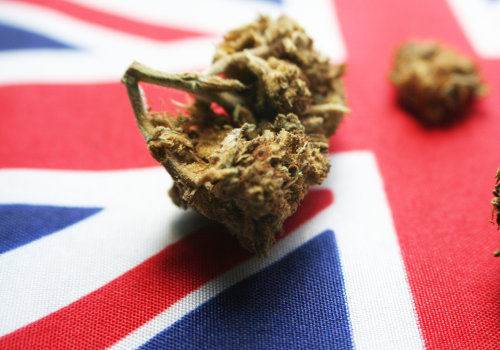 Exploring the Licensing and Permitting Process for Cannabis in the UK